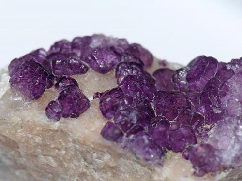 Fluorita<br />Cantera Cillarga, Linar da Raina, Ponteareas, Comarca El Condado, Pontevedra, Galicia / Galiza, España<br />Cristales sobre 1mm<br /> (Autor: Javier MC)