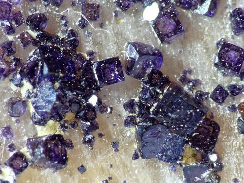 Fluorita<br />Cantera Cillarga, Linar da Raina, Ponteareas, Comarca El Condado, Pontevedra, Galicia / Galiza, España<br />Cristales sobre 0,5mm<br /> (Autor: Javier MC)