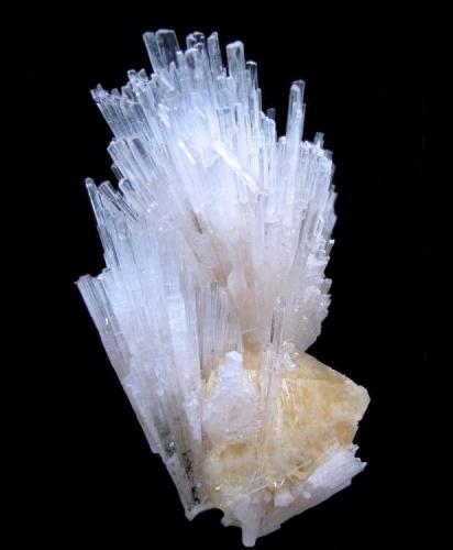 Powellite, scolecite
Yeola, Nasik District, Maharashtra, India
108 mm x 75 mm (Author: Carles Millan)