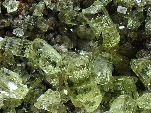 Fluorapatito.
Minas La Celia, Jumilla, Murcia, España
La pieza mide 5,5 cms y los cristales son de 0,7 cms aprox. (Autor: Laureano)