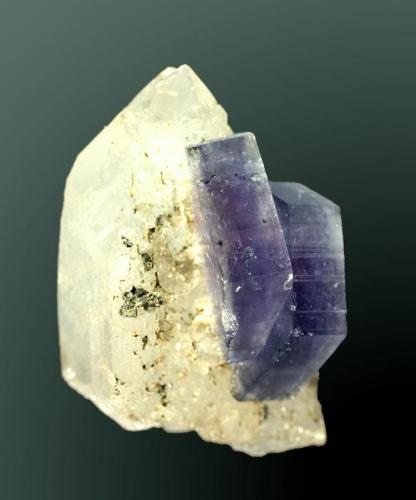 Fluorapatito
Panasqueira, Covilha (mun.), Castelo Branco (dist.), Beira Baixa, Portugal. Barroca Grande (nivel 2) (m).
5,4x3,2x3,6 cm. / 0,9x2,7x2,2 cm. (cristal pral.)
Dos cristales tabulares de color azul-violeta intenso, implantados en un cristal de cuarzo.
Ejemplar de 1990. (Autor: Carles Curto)