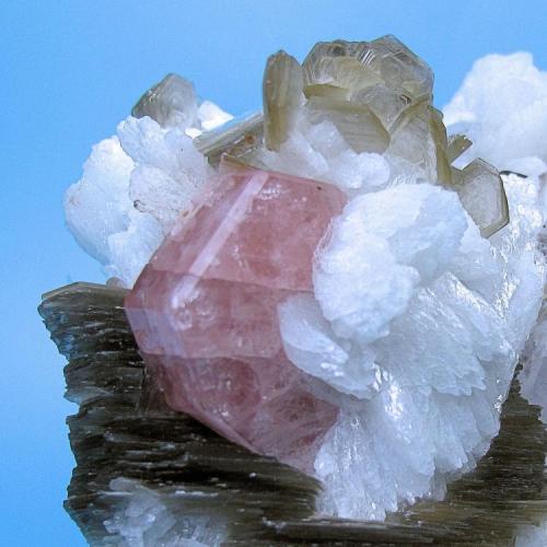 Fluorapatita, albita, cuarzo, mica
Shigar Valley, Skardu District, Baltistan, Gilgit-Baltistan, Pakistán
65 mm x 47 mm

Detalle (Autor: Carles Millan)