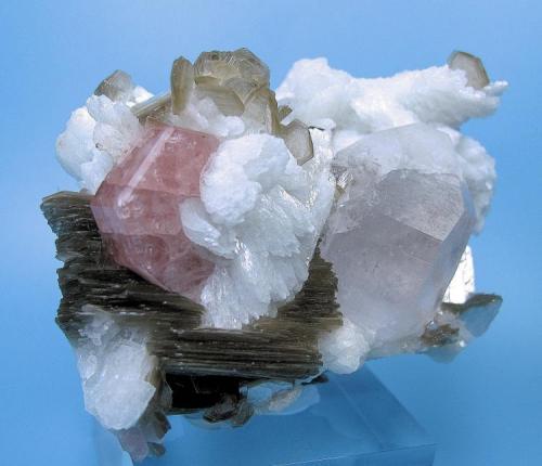 Fluorapatita, albita, cuarzo, mica
Shigar Valley, Skardu District, Baltistan, Gilgit-Baltistan, Pakistán
65 mm x 47 mm (Autor: Carles Millan)