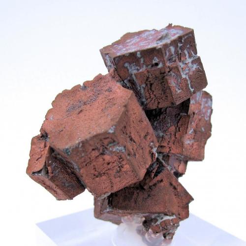 Copper
San Agustín Mine, Corocoro, Pacajes Province, La Paz Department, Bolivia
54 mm x 49 mm x 26 mm (Author: Carles Millan)