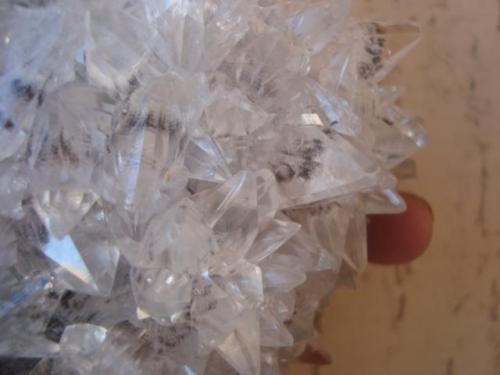 Calcite
Hercules, Cohahuila, Mexico

Details of the crystals (Author: javmex2)