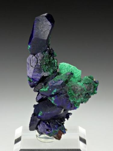 Azurite with Malachite
New Cornelia Mine, Ajo, Pima Co.
6.8cm x 3.7cm (Author: rweaver)