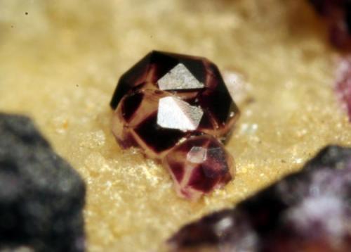 Fluorita<br />Arteixo, Comarca A Coruña, La Coruña / A Coruña, Galicia / Galiza, España<br />Grupo de cristales de 3 mm<br /> (Autor: usoz)