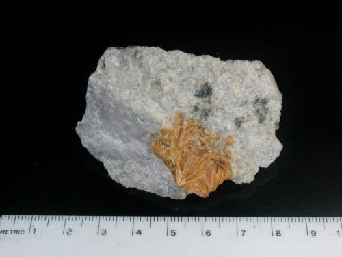 Stilbite in quartz
Maryland Materials quarry, Cecil Co., Maryland, USA
6 cm across (Author: John S. White)