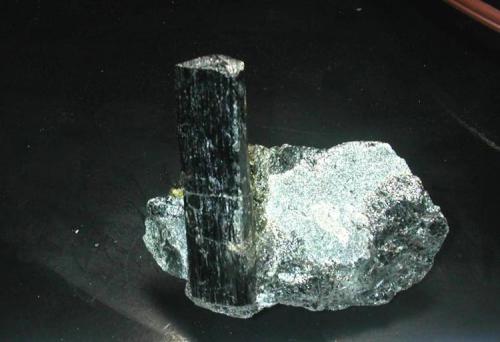 Schorl in schist
Maryland Materials quarry, Cecil Co., Maryland, USA
The crystal is 6 cm tall (Author: John S. White)