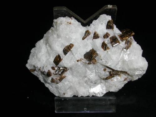 Dravite in marble
Texas quarry, Baltimore Co., Maryland, USA
6 cm across (Author: John S. White)
