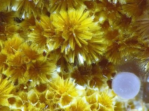 Cacoxeno<br />Meicende, Arteixo, A Coruña<br />Encuadre 3 mm<br /> (Autor: Javier MC)