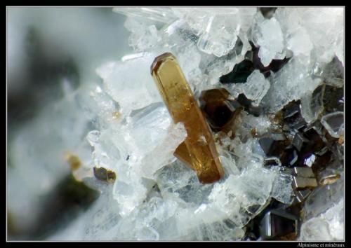 Vesuvianite
Felskinn, Saas Fee, Switzerland
FOV 3  mm (Author: ploum)