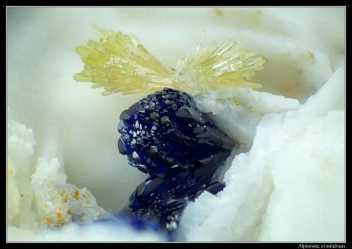 Azurite and mimetite
Mas Dieu, Gard, France
FOV 2.5 mm (Author: ploum)