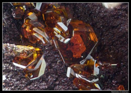 Jarosite
El Arteal tunnel, Sierra Almagrera, Cuevas del Almanzora (Cuevas de Vera), Almería, Andalusia, Spain
FOV = 1.1 mm (Author: ploum)