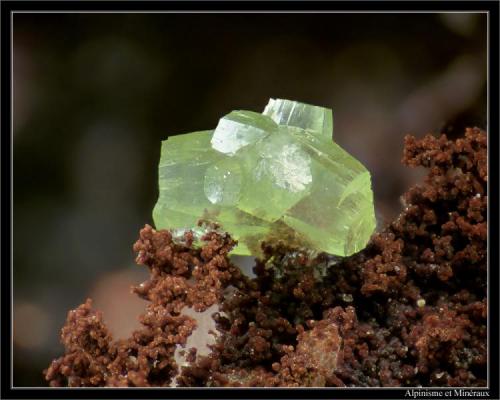 Pyromorphite
Mas Dieu, Gard, France
fov 3 mm (Author: ploum)