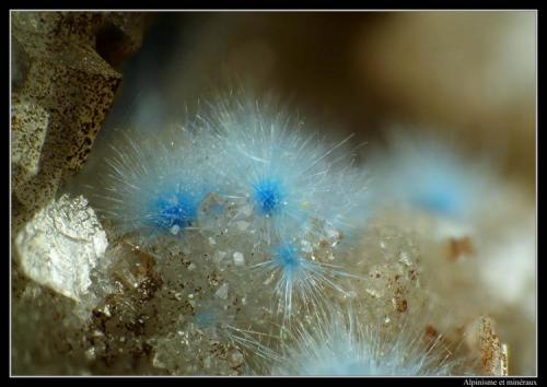 Cyanotrichite
Qinglong Mine (Dachang Mine), Dachang Sb ore field, Qinglong Co., Qianxi’nan Autonomous Prefecture, Guizhou Province, China
fov 3 mm (Author: ploum)