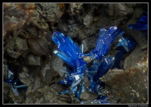 Linarite
Eaglebrook Mine, Nant-y-Moch Reservoir area, Talybont, Ceulanymaesmawr, Ceredigion, Wales, UK
fov = 1.8 mm (Author: ploum)