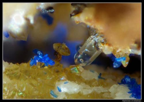 Azurite, quartz and calcite or titanite ?????
Mont-Chemin, Valais, Switzerland
FOV = 1 mm (Author: ploum)