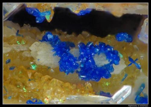 Azurite on quartz
Mont-Chemin, Valais, Switzerland
FOV = 1.1 mm (Author: ploum)
