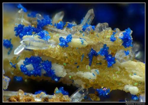 Azurite on quartz
Mont-Chemin, Valais, Switzerland
fov 2.5 mm (Author: ploum)