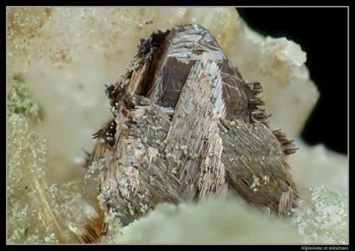 Anatase et rutile
Col de la Madeleine, Savoie, France
fov 3 mm (Author: ploum)