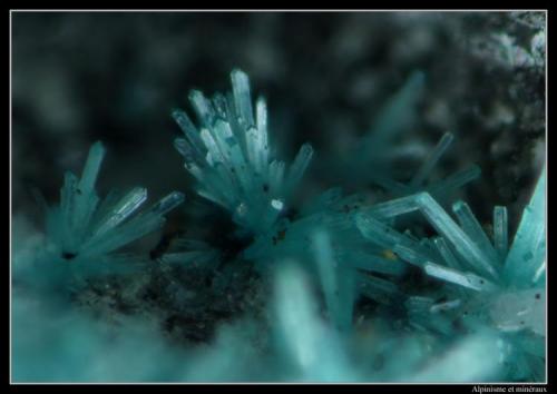 Caledonite
Schlackental (slag locality), Oberschulenberg, Clausthal-Zellerfeld, Harz, Lower Saxony, Germany
fov 1.2 mm (Author: ploum)