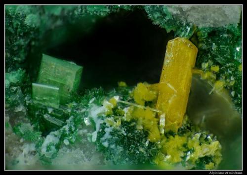 Kasolite et torbernite
Musonoi, katanga, R.D.CONGO
fov 1.2 mm (Author: ploum)