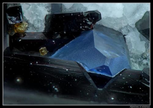 Benitoite, joaquinite, neptunite
Benitoite Gem Mine, New Idria District, Diablo Range, San Benito Co., California, USA
FOV 2 mm (Author: ploum)