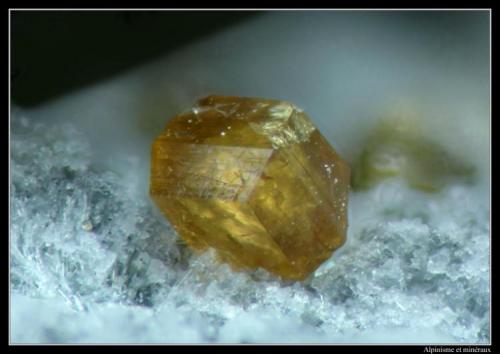 Joaquinite
Benitoite Gem Mine, New Idria District, Diablo Range, San Benito Co., California, USA
FOV 0.5 mm (Author: ploum)