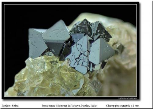 Spinel
Mt Vesuvius, Naples, Campania, Italy
fov 2 mm (Author: ploum)