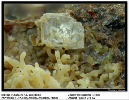 Chabazite-Ca on calcedony
Le Collet, Araules, Auvergene, France
fov 3 mm (Author: ploum)