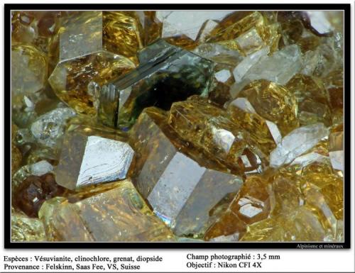 Vesuvianite with Clinochlore, garnet and diopside
Felskinn, Saas Fee, VS, Switzerland
fov 3,5 mm (Author: ploum)