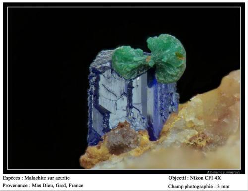 Malachite on azurite
Mas Dieu, Gard, France
fov 3 mm (Author: ploum)