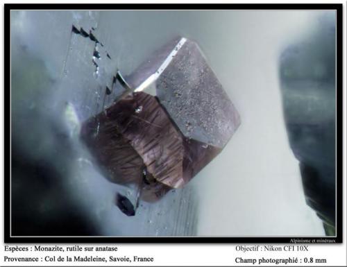 Monazite with Rutile on Anatase
Col de la Madeleine, Savoie, France
fov 0.8 mm (Author: ploum)