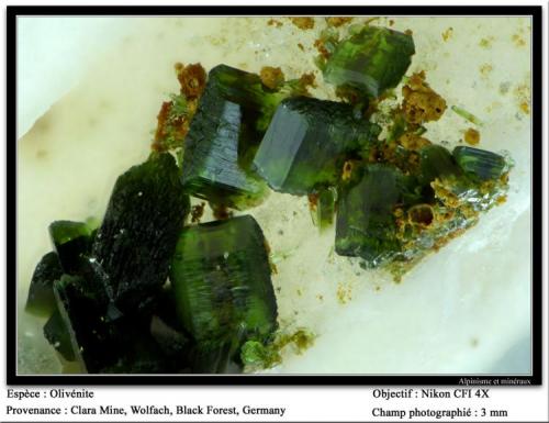 Olivenite
Clara Mine, Wolfach, Black Forest, Germany
fov 3 mm (Author: ploum)