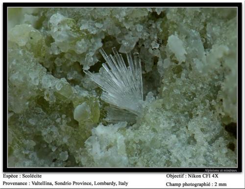 Scolecite
Valtellina, Sondrio, Lombardy, Italia
fov 2 mm (Author: ploum)