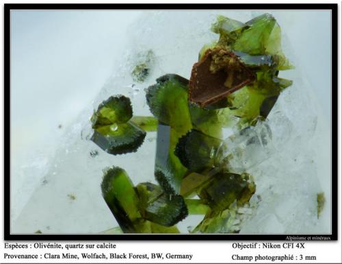 Olivenite, quartz, calcite
Clara Mine, Wolfach, Black Forest, BW, Germany
fov 3mm (Author: ploum)