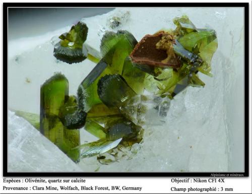 Olivenite, quartz, calcite
Clara Mine, Wolfach, Black Forest, BW, Germany
fov 3 mm (Author: ploum)