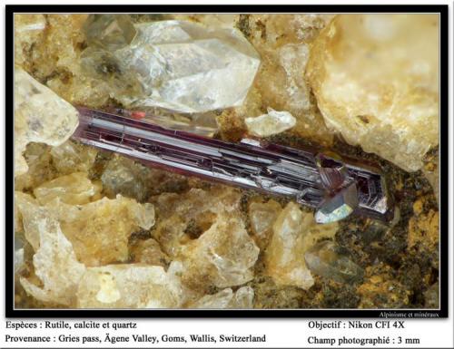 Rutile, calcite, quartz
Gries Pass, Ägene Valley, Goms, Switzerland
fov 3 mm (Author: ploum)