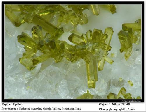 Epidote
Cadarese Quarry, Ossola Valley, Piedmont, Italy
fov 3 mm (Author: ploum)