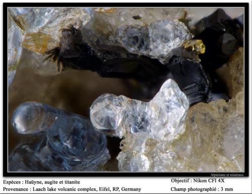 Haüyne, augite, titanite
Laach lake volcanic complex, Eifel, RP, Germany
fov 3 mm (Author: ploum)