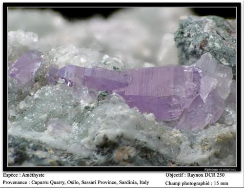 Quartz Amethyst
Capurru Quarry, Osilo, Sassari, Sardinia, Italy
fov 15 mm (Author: ploum)