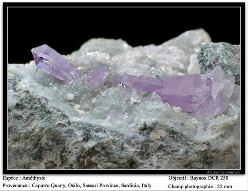 Quartz Amethyst
Capurru Quarry, Osilo, Sassari, Sardinia, Italy
fov 25 mm (Author: ploum)