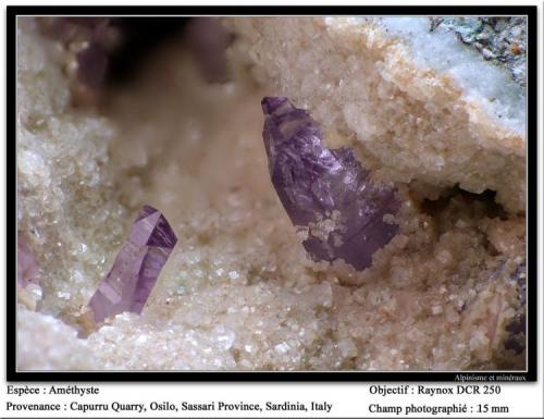 Quartz Amethyst
Capurru Quarry, Osilo, Sassari, Sardinia, Italy
fov 15 mm (Author: ploum)