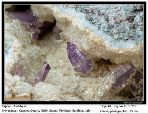 Quartz Amethyst
Capurru Quarry, Osilo, Sassari, Sardinia, Italy
fov 25 mm (Author: ploum)