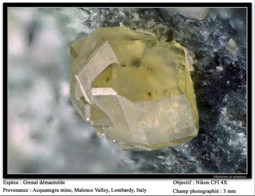 Andradite (variety demantoid)
Acquanegra Mine, Malenco Valley, Lombardy, Italia
fov 3 mm (Author: ploum)