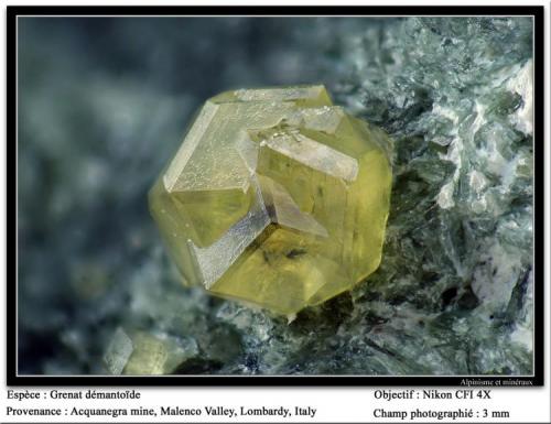 Andradite (variety demantoid)
Acquanegra Mine, Malenco Valley, Lombardy, Italia
fov 3 mm (Author: ploum)