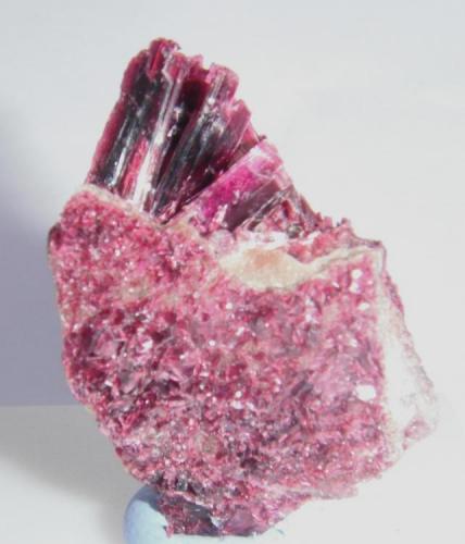 Eritrina
Bou Azzer, Ouarzazate, Marruecos.
3 x 3 cm.

Vista de la otra cara de la misma pieza.
Este lado me gusta más aunque queden escondidos los cristales más grandes. (Autor: Carles Rubio)