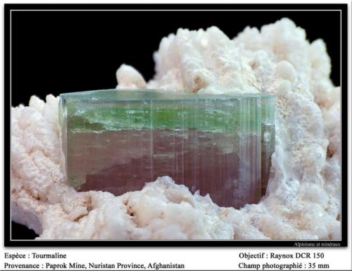 Elbaite on Quartz
Paprok Mine, Nuristan, Afghanistan
fov 35 mm (Author: ploum)