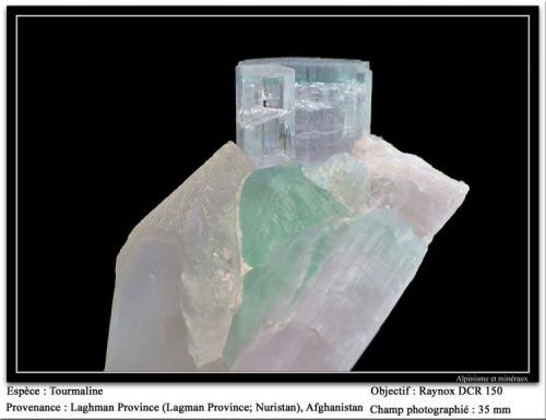 Elbaite on Quartz
Laghman, Afghanistan
fov 35 mm (Author: ploum)